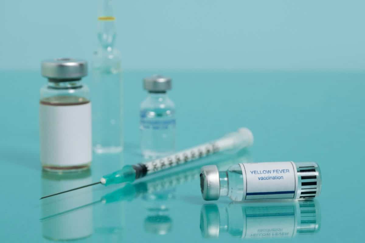 רדיאס לקו הלסת